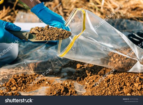 Soil Test. Agronomist putting soil with garden shovel in soil sample bag outdoor. Environmental research #Ad , #sponsored, #putting#soil#garden#Soil Soil Sampling, Soil Test, Garden Shovel, Environmental Research, Soil Testing, Garden Soil, Shovel, Design Illustration, Soil