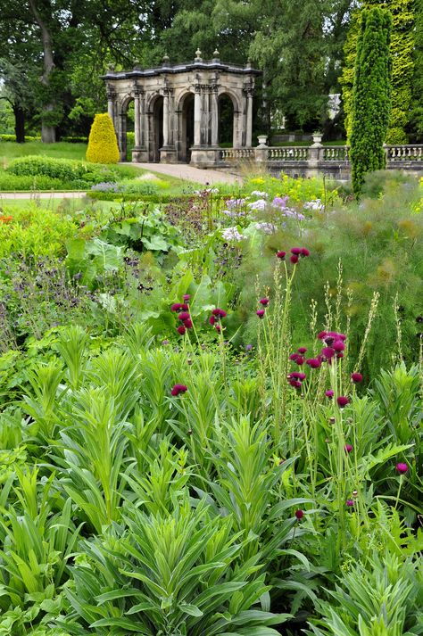 Trentham Gardens, British Garden, Gazebo Pergola, Holiday Places, Garden Park, Pollinator Garden, Garden Fountain, Plant Combinations, Pergola Designs