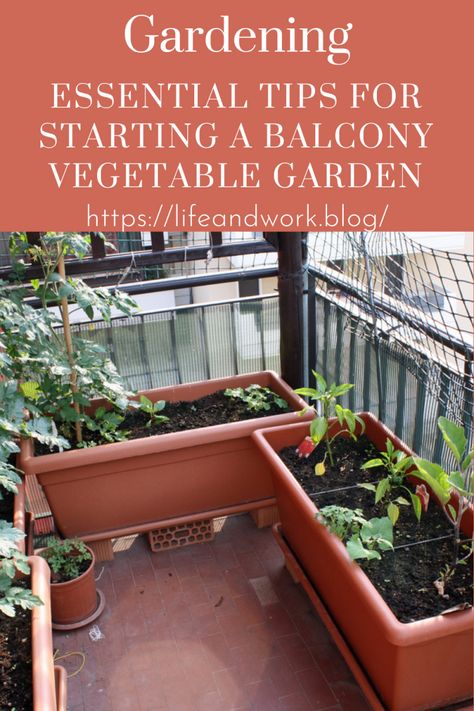 Essential Tips For Starting a Balcony Vegetable Garden Vegetable Garden In Balcony, Apartment Balcony Vegetable Garden, Balcony Vegetable Garden Ideas, Balcony Vegetable Garden, Vegetables In Containers, Growing Vegetables In Pots, Balcony Gardening, Types Of Herbs, Grow Vegetables