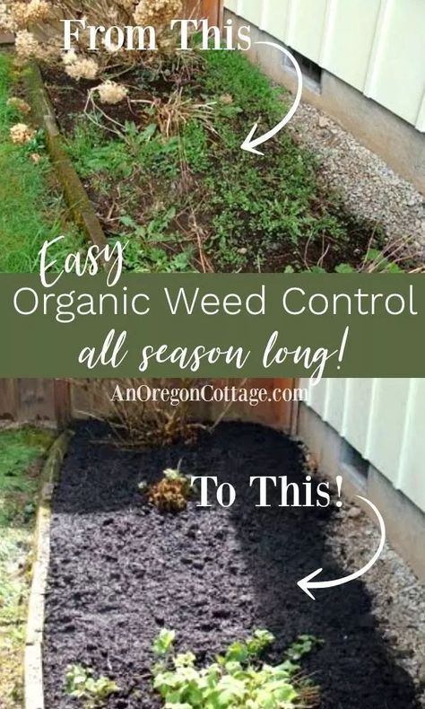 You really can have a weed-free flower bed all season long with this method for organic weed control. Click for all the details with lots of tips to the do-it-once-and-forget-it method! #garden #weeds Weeding Tips, Seed Ornaments, Oregon Cottage, Garden Improvement, Townhouse Garden, Garden Weeds, Homestead Living, Simple Organic, Yard Project