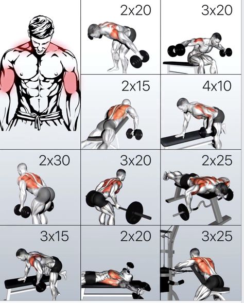 Gym Workout Apps, Back And Shoulder Workout, Bicep And Tricep Workout, Workout Gym Routine, Workout Program Gym, Bodybuilding Workouts Routines, Best Gym Workout, Gym Workout Planner, Bodybuilding Workout Plan