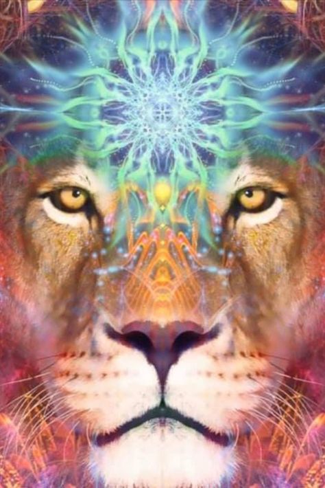 🪐💫 It is MANIFESTATION Time 💥 🔥 The 8/8 Lions Gate Portal is still open!! 🔥 Manifestation is an extremely powerful tool to make your dreams come true and, on days when cosmic energy is at an all-time high, the spiritual manifestation is much more likely to become reality🔥 #manifestation #manifest #create #lionsgate #lionsgateportal #empowerment #empoweryourself #release #potential #portal #astrology #Gateway #Leo #energy 888 Portal Manifestation, Lions Gate Portal Wallpaper, 888 Lions Gate, Lionsgate Portal 2024, Lionsgate Portal 2023, Lions Gate Portal 2024, Leo Manifestation, 88 Portal, Lions Gate Portal 2023