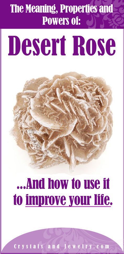 Desert Rose Meaning Desert Rose Meaning, Rose Meanings, Desert Rose Care, Desert Rose Crystal, Hobbies For Girls, Rose Meaning, Healing Rocks, Desert Rose Plant, Plant Benefits