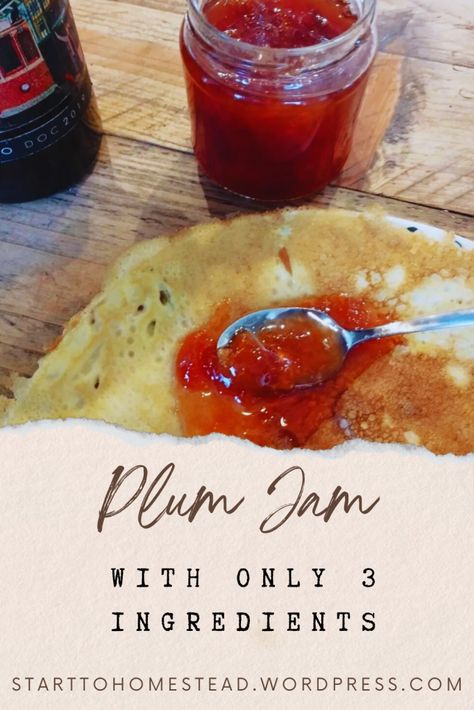 Preserve the rich flavors of your plum harvest with this simple, delicious plum jam recipe using only three ingredients. With tips on canning and storage, you can enjoy homemade plum jam all year long, and it makes for a perfect gift too! Plum Canning Recipes, Plum Jam Recipe, Plum Preserves, Fruit Butters, Plum Jam Recipes, Plum Jam, Jam Recipe, Three Ingredient, Jams & Jellies