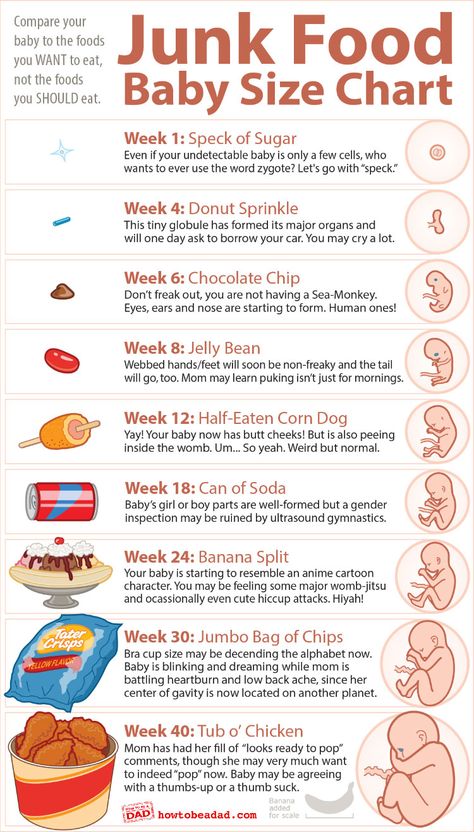 Husband sent this to me. Funny babysize comparison chart. Baby Weeks, Baby Size Chart, Bun In The Oven, Food Baby, Baby Time, Everything Baby, Pregnancy Tips, Prenatal, Baby Bumps