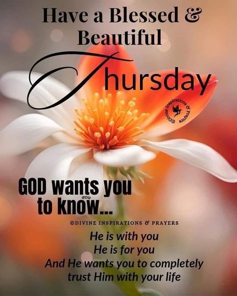 Happy Thursday Images, Thursday Greetings, Thursday Blessings, Good Morning Happy Thursday, Monthly Quotes, Good Morning Thursday, Thursday Quotes, Weekday Quotes, Good Morning Sunshine Quotes