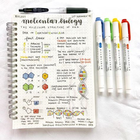 Colourful Notes, Notes School, Back To University, School Highschool, Study Biology, College Notes, Bullet Journal Notes, Notes Ideas, School Organization Notes