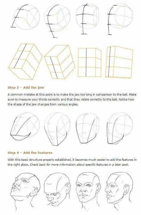 Head In Perspective, Drawing The Human Head, Drawing Proportions, ليلو وستيتش, Head Anatomy, Human Body Drawing, 얼굴 드로잉, Drawing Tutorial Face, Human Anatomy Drawing