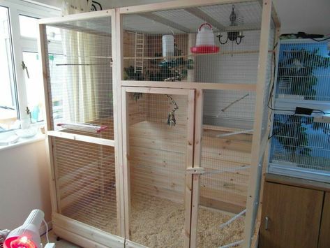 Indoor Aviary Ideas, Diy Aviary, Finch Aviary, Aviary Ideas, Finch Cage, Diy Bird Cage, Flight Cage, Pet Bird Cage, Large Bird Cages