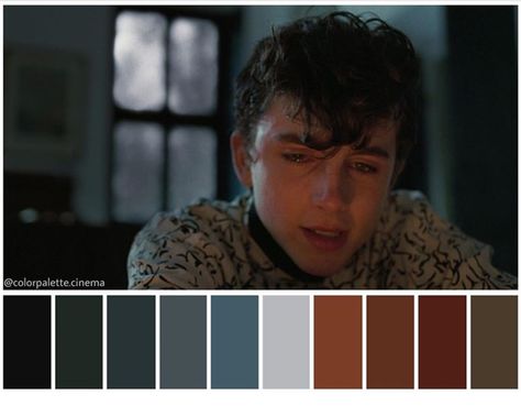 Film Moodboard, Color In Film, Movie Color Palette, Luca Guadagnino, Cinema Colours, Color Script, Call Me By Your Name, Production Design, Mood And Tone