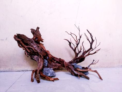 Hardscape natural.. Rasamala Wood.. Hardscape Design, Planted Aquarium, Wood, Plants, Design, Nature