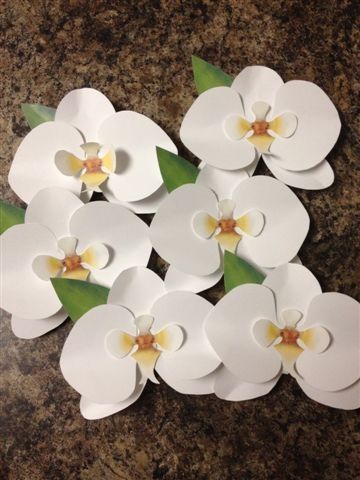 Paper Orchid, Card Making Flowers, White Paper Flowers, Napkin Rings Wedding, Paper Crafts Card, Paper Flower Template, Paper Flowers Craft, Tissue Paper Flowers, Giant Paper Flowers