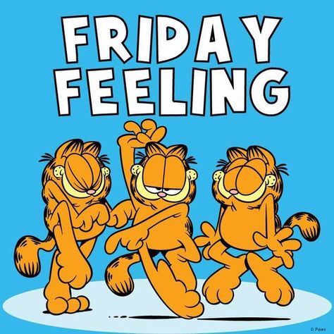 Friday Feeling Feels Meme, Garfield Quotes, Tgif Funny, Garfield Cartoon, Friday Pictures, Friday Meme, Friday Images, Feel Good Friday, Funny Sports Pictures