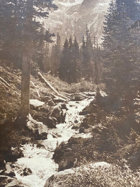 Vintage photo of river #river #vintage #vintageaesthetic #vintagestyle #photography #photos #blackandwhite #aesthetic #oldschool #oldphoto Blackandwhite Aesthetic, John Denver, Polaroid Pictures, Vintage Photo, Vintage Aesthetic, Photography Photos, Old Pictures, Old Photos, Vintage Photos