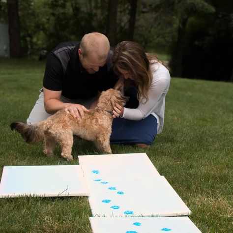 Gender Announcement Pictures With Dogs, Gender Reveal Ideas Dog, Dog Gender Reveal, Gender Reveal Ideas With Dog, Gender Reveal With Dog, Puppy Announcement, Gender Reveal Outfits, Nerd Baby, Creative Gender Reveals