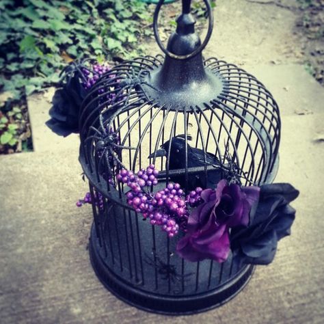 Halloween DIY bird cage Birdcage Halloween Decor, Halloween Bird Cage, Halloween Bird Cage Ideas, Halloween Birdcage, Goth Graduation, Horror Interior, Gothic Xmas, Diy Bird Cage, Goth Room