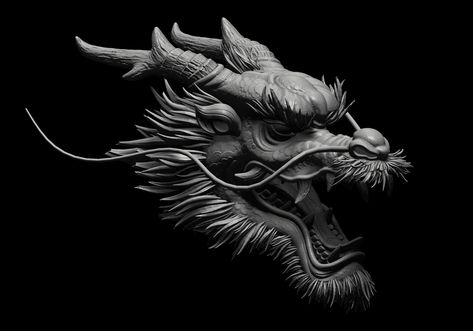 Chinese Dragon Head, Dragon Head Drawing, Chinese Dragon Drawing, Dragon Anatomy, Chinese Dragon Art, Eastern Dragon, Dragon Mask, Asian Dragon, Dragon Illustration