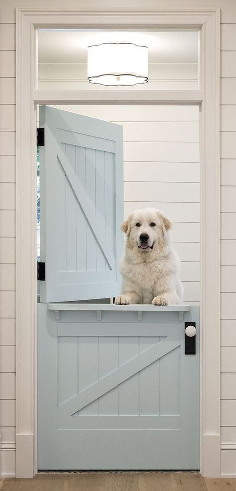 baby blue indoor Dutch door Dutch Door Interior, Lake House Interior Design, Dutch Doors Diy, Lake House Interior, Dutch Bros, Door Paint Colors, Dutch Baby, Dutch Door, Dog Rooms