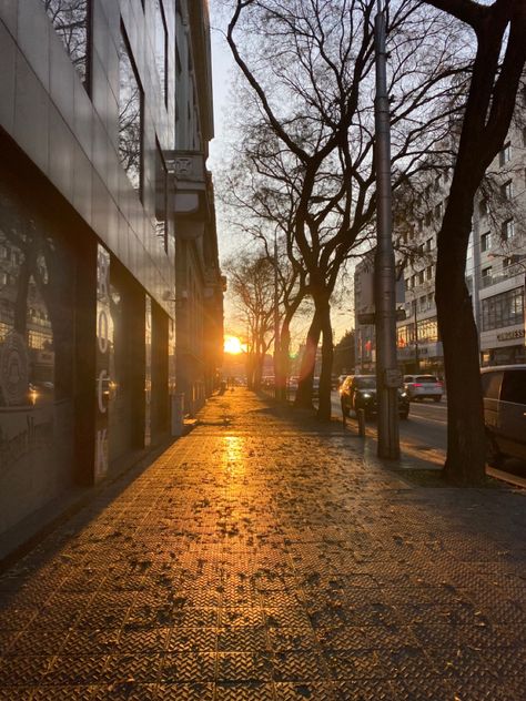 sunset, sunshine, sun, sky, city, golden hour, slovakia City Golden Hour, Golden Hour City, City Sunrise, Nebraska Football, Sky City, Sun Aesthetic, Student Living, Yellow Sky, Sun Sky