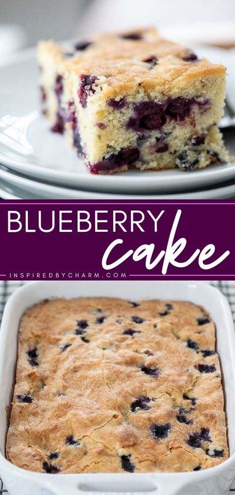 Nothing compares to this homemade blueberry cake! Light, moist, and packed with fresh blueberries, this easy dessert recipe is delicious. You'll want a slice of this simple sweet treat for a breakfast idea! Easy Blueberry Cake Recipes, Simple Blueberry Cake Designs, Easy Blueberry Cake Simple, Fresh Blueberry Recipes Easy, Blueberry Ricotta Breakfast Cake, Cake Recipes Blueberry, Ricotta Breakfast Cake, Easy Blueberry Cake, Ricotta Breakfast