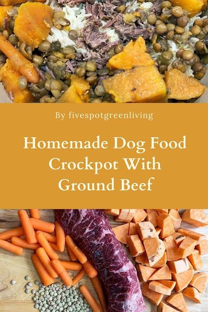 Crockpot Dog Food Recipes Vet Approved, Food Recipes Sweet Potato, Homemade Dog Food Grain Free, Crockpot Dog Food, Homemade Dog Food Crockpot, Food Recipes Sweet, Cooker Dog, Homemade Dog Food Vet Approved, Dog Food Recipes Crockpot