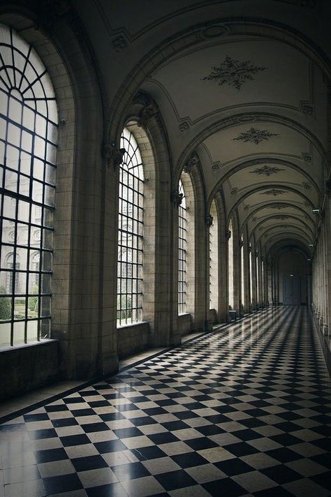 Gothic Castle Aesthetic, Gothic Hallway, Dark Academia Castle, Gothic Castle Interior, Castle Aesthetic Interior, Goth Castle, Manor Aesthetic, Goth Architecture, Gothic Manor