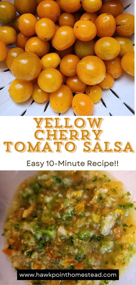 Salsa With Yellow Tomatoes, Cherry Tomatoes Salsa Recipe, Yellow Cherry Tomato Salsa, Yellow Tomato Recipes Salsa, What To Make With Yellow Tomatoes, Salsa With Cherry Tomatoes Recipe, Orange Cherry Tomato Recipes, Yellow Cherry Tomato Recipes, Yellow Tomato Recipes