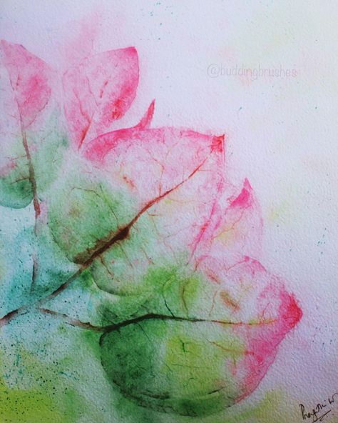 Pragathi on Instagram: “Bougainvillea 🎨 On an experimental spree to get more comfortable with inks and gentle washes. This One from many washes I tried, it didn’t…” Buganvilla Watercolor, Colour Art, Bougainvillea, Water Colour, Textile Design, Colorful Art, My Images, I Tried, Watercolor Tattoo