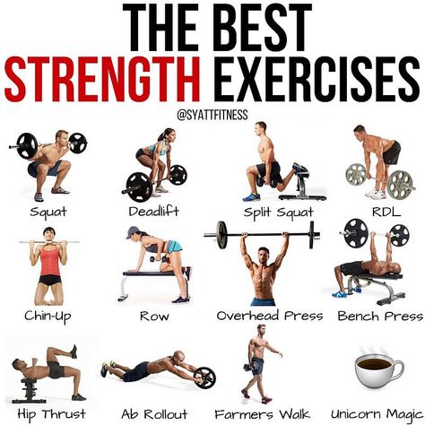 💥THE BEST STRENGTH EXERCISES💥 - 🦄 One of my Unicorns slipped on a patch of black ice this morning. And I know I shouldn't laugh but he let… Exercises For Men, Strength Exercises, Gym Antrenmanları, Trening Fitness, Yoga Posen, Muscle Building Workouts, Weight Training Workouts, Body Workout Plan, Best Exercises