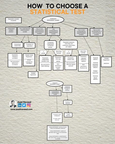 Asad Naveed on LinkedIn: #research #phd #academia | 52 comments T Test Statistics, Statistics Math, Data Types, Good Leadership Skills, Psychology Studies, Dissertation Writing Services, Thesis Writing, First Principle, Research Skills