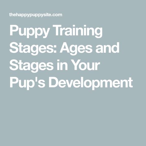 Puppy Training Stages: Ages and Stages in Your Pup's Development Puppy Development Stages, Puppy Development, Ages And Stages, Puppy Stages, Boxer Love, Puppy Training, Dogs And Puppies, Puppies, Train