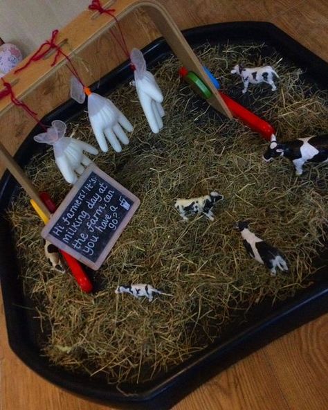 EYFS on Instagram: "Fun at the Farm🧑‍🌾 Milking the Cows 🐮 Today we are doing a very exciting activity; we are milking cows! I have created a milking station, using plastic gloves and milk; these imitated the udders of a cow. The tray is covered in hay as that is what cows eat, and I have scattered around various sized cows. This activity promotes: THE WORLD, FINE MOTOR SKILLS, CARING FOR ANIMALS. The aim is for the children to imitate milking a cow using the replicated udders! I briefly expla Farming Activities Eyfs, Eyfs Farm Topic, Farm Tuff Tray Ideas Eyfs, Old Macdonald Activities, Farmers Activities For Preschool, Milking Cow Activity Preschool, Cow Sensory Activities, Farm Animals Tuff Tray Ideas, Farmer Duck Eyfs Activities