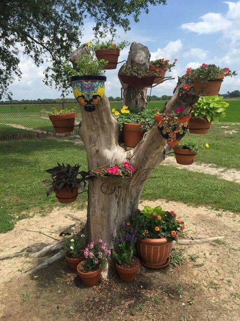 Tree Stump Decor, Gardening Design Diy, Garden Organization, Fall Garden Vegetables, Garden Decor Projects, Fairy Garden Decor, Garden Crafts Diy, Garden Yard Ideas, Backyard Garden Design