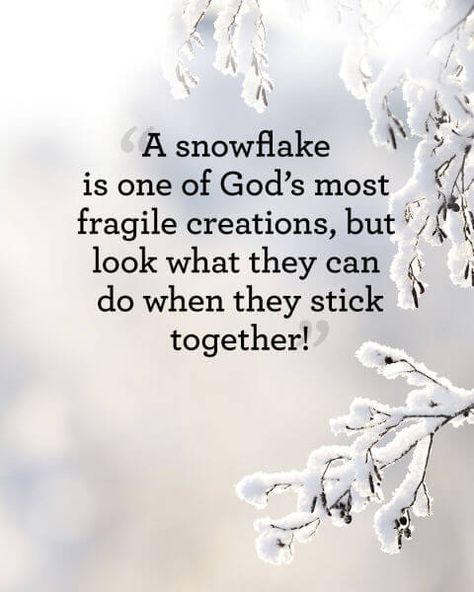 18 Absolutely Beautiful Winter Quotes About Snow - Our World Stuff Snowflake Quote, Winter Family Photography, Snow Quotes, Mother Nature Quotes, Winter Quotes, Winter Girl, Winter Family, Nature Quotes, Beauty Quotes