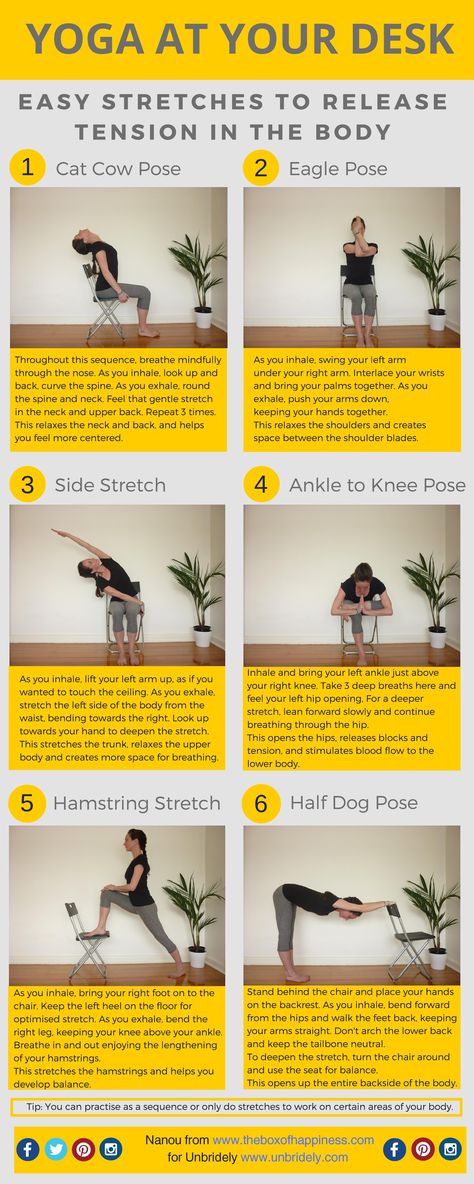 Desk Yoga, Office Workout, Meditation Mantra, Cat Cow Pose, Yoga Vinyasa, Cow Pose, Workout At Work, Yoga Iyengar, Chair Yoga