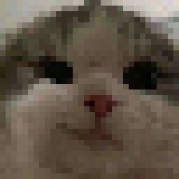 Cat Pixel Art 32x32, 32 By 32 Pixel Art, 32x32 Pixel Art, Grid Art, Roblox Art, Easy Pixel Art, Pixel Art Grid, 8 Bits, Minecraft Skin