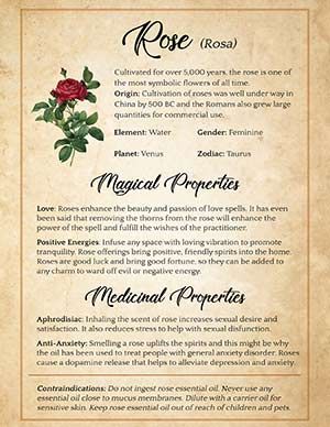 Printable grimoire page of rose Roses In Witchcraft, Witch Essentials, Witchy Items, Easy Love Spells, Magickal Herbs, Green Witchcraft, Magic Spell Book, Magic Herbs, Kitchen Witchery