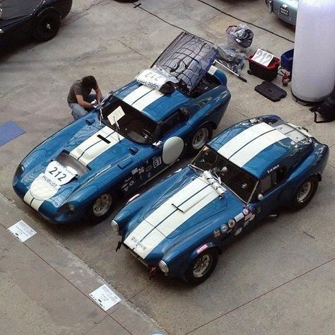 Ac Cobra Hardtop, Carol Shelby, Shelby Daytona Coupe, Cobra Daytona, Ford Shelby Cobra, Shelby Daytona, Shelby Car, Car Man Cave, Daytona Coupe