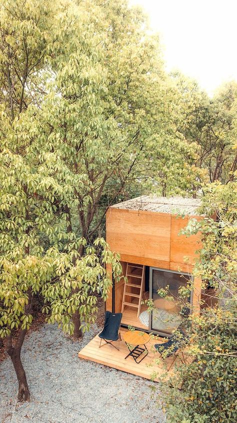 Wiki World Forest Cabins / Wiki World + Advanced Architecture Lab[AaL] | ArchDaily Forest Cabins, Charming Backyard, Backyard Cabin, Brick Interior, Backyard Studio, Forest Cabin, Backyard Sheds, Wooden Cabins, Small Cabin