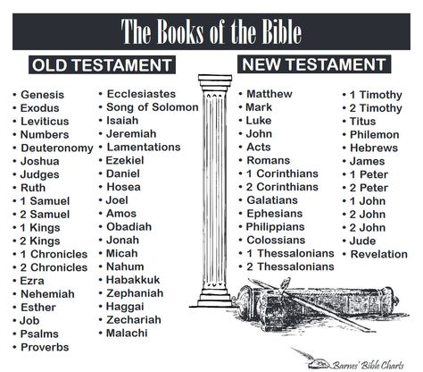 Books Of The Bible Checklist, 66 Books Of The Bible, Bible Meaning, Bible Charts, The Books Of The Bible, Bible Timeline, Bible Doctrine, Bible Dictionary, Sunday School Classroom