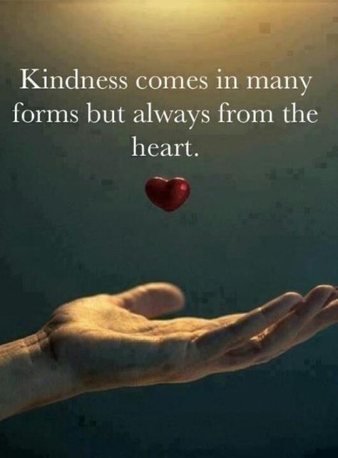 A smile, a helping hand, words of encouragement, a hug, etc. Make sure you do at least one act of kindness each day. It benefits the person you are helping, but it benefits you more. And when someone does something kind for you- PAY IT FORWARD!! Quotes Funny Life, Kindness Quotes, Random Acts Of Kindness, A Quote, Rumi, The Words, Great Quotes, Picture Quotes, A Heart