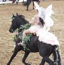 Horse Fancy Dress Costume, Horse Halloween Ideas, Horse Fancy Dress, Cat Halloween Costume Pet, Horse Halloween Costumes, Fancy Dress Ideas, Canadian Horse, Friesian Horses, Youtube Ideas