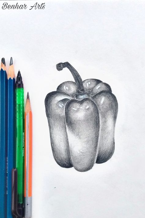 Drawing of a Capsicum | Pencil drawings Vegetable Pencil Drawing, Capsicum Drawing, Vegetable Drawings, Human Sketches, Vegetable Drawing, Composition Drawing, Human Sketch, Shading Drawing, Art Final