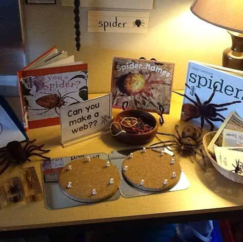 Set up a spider provocation. It's all about spiders in our class! #sd36learn #kindergarten Bugs Preschool, Reggio Inspired Classrooms, Reggio Classroom, Invitation To Play, Kindergarten Science, Preschool Science, Play Based Learning, Fine Motor Activities, Reggio Emilia