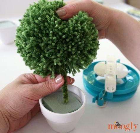 Make Lighted Pom Pom Topiaries for your next event or favorite cozy nook! Tutorial on Mooglyblog.com Pom Pom Topiary, Clover Pom Pom Maker, Pompon Diy, Pom Pom Animals, Diy Pom Poms, Crafts For Teens To Make, Boyfriend Crafts, Diy Pom Pom, Pom Pom Maker