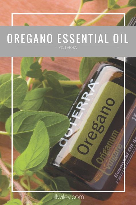 Essential Oils For Parasites In Humans, Doterra Oregano Oil, Essential Oils For Candida, Antifungal Essential Oil, Doterra Oregano, Tooth Infection, Esential Oils, Oregano Essential Oil, Candida Overgrowth