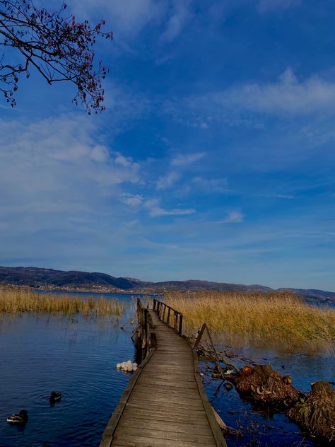 #sakarya Natural Landmarks, Travel, Nature