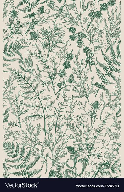 Fern Botanical Illustration Vintage, Fern Illustration, Fern Design, Fern Wallpaper, Wallpaper Warehouse, Box Print, Map Murals, Animal Mural, Wedding Elements