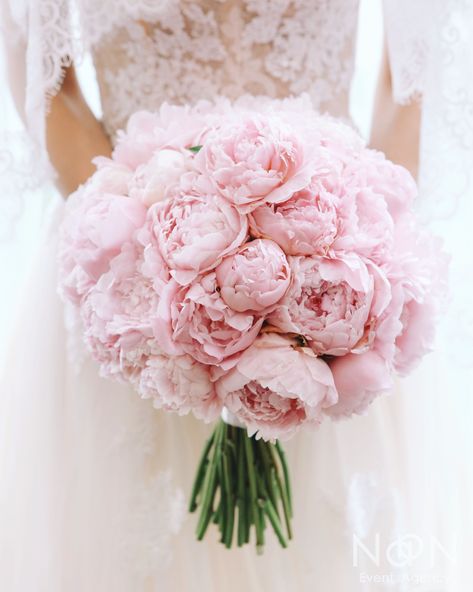 Pink Peony And Rose Wedding Bouquet, Light Pink Peony Wedding Bouquet, Peonies Hand Bouquet, Blush Pink Peony Bridal Bouquet, Pink Roses And Peonies Bouquet, Brides Bouquet Peonies, Light Pink Peony Bouquet, Peony Bridal Bouquet Blush, Peonie Wedding Boquet