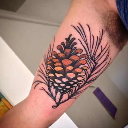 Jeff Norton - Pine cone Pine Cone Tattoo, Pinecone Tattoo, Cone Tattoo, Pine Tattoo, Autumn Tattoo, Tattoo Filler, Branch Tattoo, Neo Traditional, Nature Tattoos